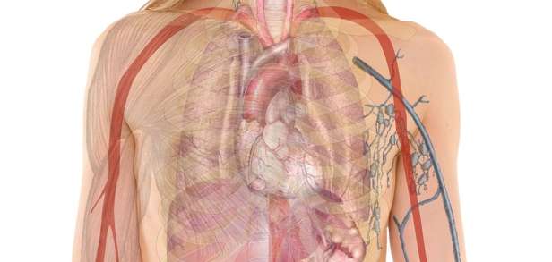 Wo befindet sich der Hauptsitz der Weltgesundheitsorganisation Wo befindet sich der Hauptsitz der Weltgesundheitsorganisation