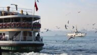 Was ist das größte Schiff der Welt Was ist das größte Schiff der Welt