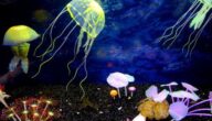 Was ist Natriumchlorid Was ist Natriumchlorid