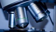 Arten von Referenzen in der wissenschaftlichen Forschung Blutgerinnung im Bein