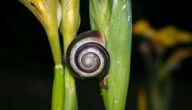 Deliktische Haftung für Handlungen Dritter Deliktische Haftung für Handlungen Dritter