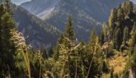 Der höchste Gipfel der Alpen Der höchste Gipfel der Alpen