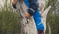 Die Vorteile der Zusammenarbeit für Kinder Die Vorteile der Zusammenarbeit für Kinder