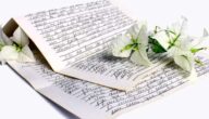 Erklärung von Einsen und Zehnen auf Englisch mit Beispielen Erklärung von Einsen und Zehnen auf Englisch mit Beispielen
