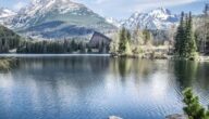 Friedens- und Friedensforschung Friedens- und Friedensforschung