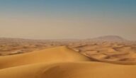 Geschlossene Unterhaltungsstätten in Dubai Geschlossene Unterhaltungsstätten in Dubai