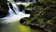 Ionisierung von Wasser Ionisierung von Wasser
