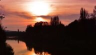 Merkmale der modernen Linguistik Merkmale der modernen Linguistik