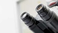 Merkmale des wissenschaftlichen Denkens Merkmale des wissenschaftlichen Denkens