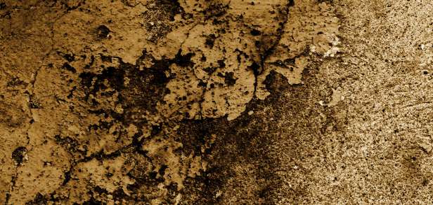 Milchprodukte: Wie viel Milchfett darf es sein? Milchprodukte: Wie viel Milchfett darf es sein?