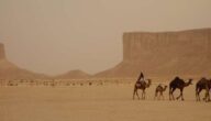 Rechte der Frau nach der Scheidung in Saudi-Arabien Rechte der Frau nach der Scheidung in Saudi-Arabien