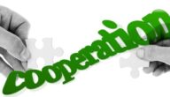 Suche nach Kooperation Suche nach Kooperation