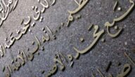 Suche nach Sprache und Kommunikation Suche nach Sprache und Kommunikation