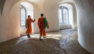 Suche nach Syed Darwish Suche nach Syed Darwish