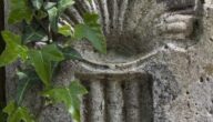 Symbole des Sonnenkreises und ihre Eigenschaften Symbole des Sonnenkreises und ihre Eigenschaften