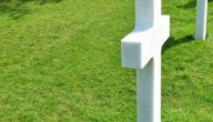 Ursachen und Folgen des Zweiten Weltkriegs Ursachen und Folgen des Zweiten Weltkriegs
