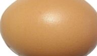 Möglichkeiten, Läuse und ihre Eier zu beseitigen Möglichkeiten, Läuse und ihre Eier zu beseitigen