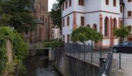 Die Bedeutung der Sprachkommunikation Die Bedeutung der Sprachkommunikation