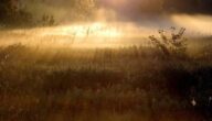 Klettertipps für Anfänger Klettertipps für Anfänger
