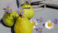 Sind Bio-Lebensmittel wirklich gesünder? Sind Bio-Lebensmittel wirklich gesünder?