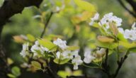 Wege, um Ärger loszuwerden Wege, um Ärger loszuwerden
