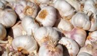 Bio-Shampoo selber machen Bio-Shampoo selber machen