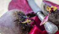 Detox-Masken selbst gemacht Detox-Masken selbst gemacht