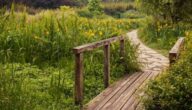 Kurzer Weg, langes Glück mit Hilfsbereitschaft Kurzer Weg, langes Glück mit Hilfsbereitschaft