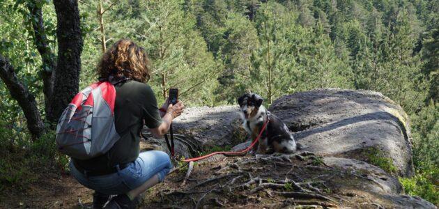 Photo by patrice schoefolt Furbo Hundekamera – Der perfekte Begleiter für Ihren Vierbeiner